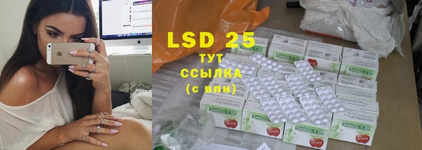 ПСИЛОЦИБИНОВЫЕ ГРИБЫ Балабаново