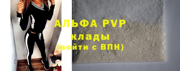 прущие грибы Беломорск