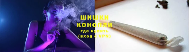 ПСИЛОЦИБИНОВЫЕ ГРИБЫ Балабаново