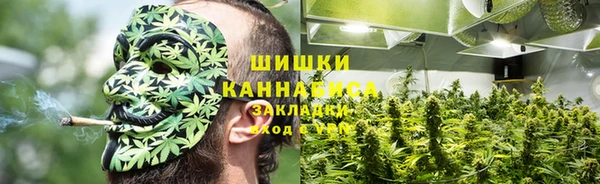 гашик Белоозёрский