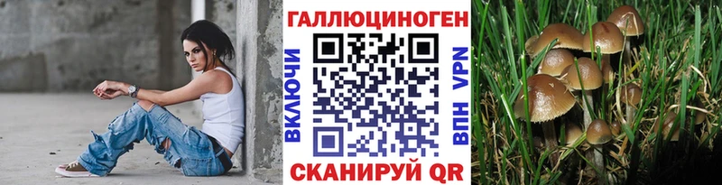 Галлюциногенные грибы MAGIC MUSHROOMS  магазин    Черняховск 