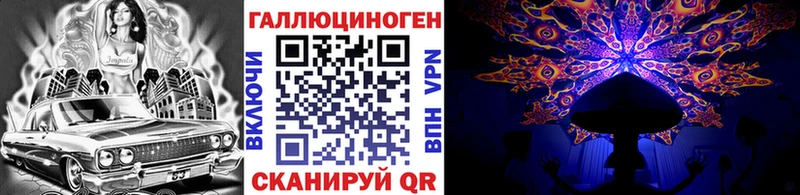Псилоцибиновые грибы Psilocybine cubensis Черняховск